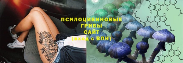 эйфоретик Алексин