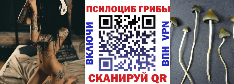 Псилоцибиновые грибы Magic Shrooms  как найти наркотики  Тара 