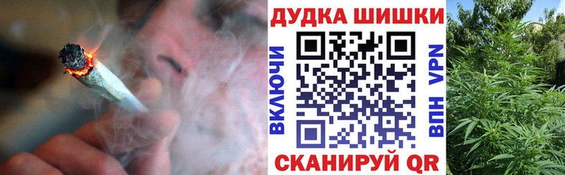 купить наркотик  Тара  Шишки марихуана сатива 